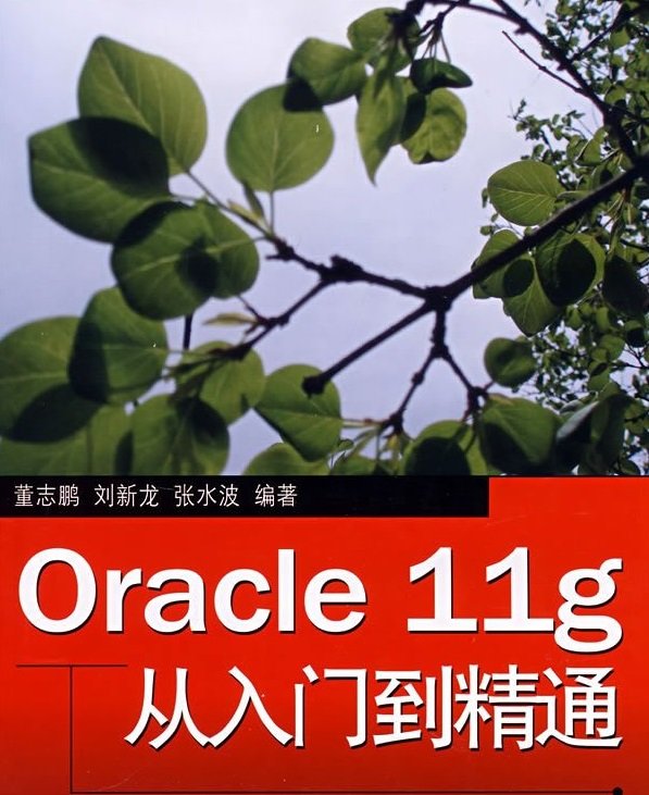 Oracle11g从入门到精通PDF高清电子版