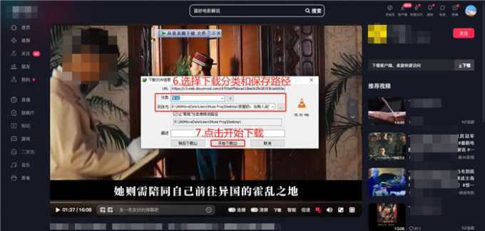 internet download manager中文版