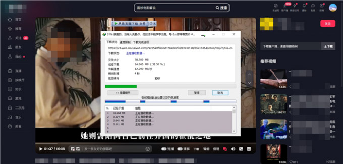 internet download manager中文版