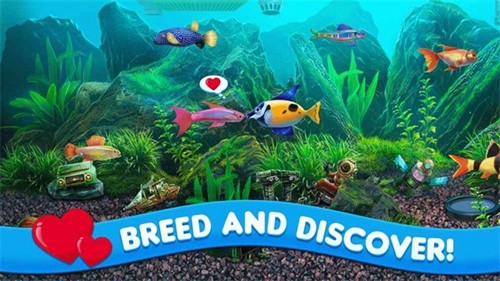 养鱼大亨2手机中文版