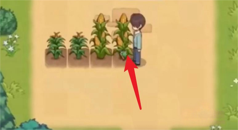 乡村狂想曲手机直装版