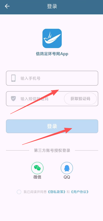 信鸽足环号网查询