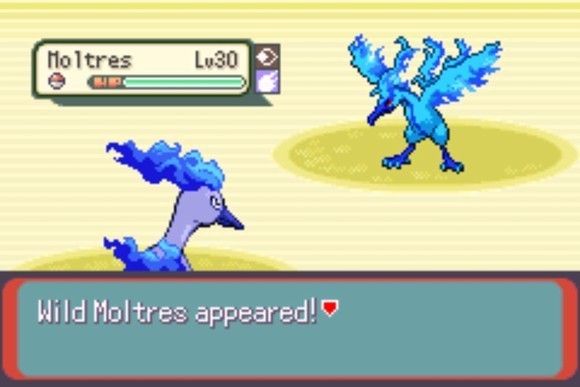 口袋妖怪格查尔手游联机版