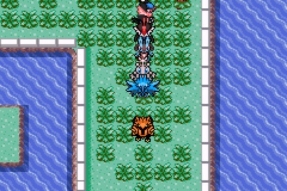 口袋妖怪格查尔手游联机版