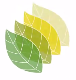 lands design for rhino下载