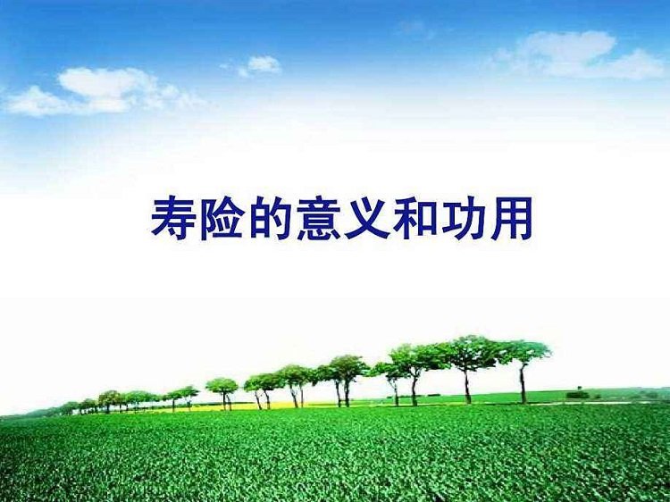 寿险的意义和功用PPT免费模板