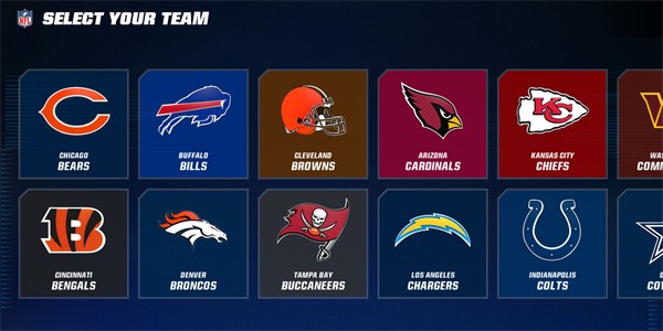 麦登橄榄球24正版