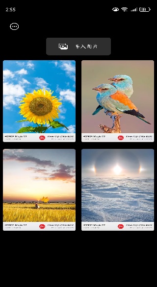 咔咔全能水印相机