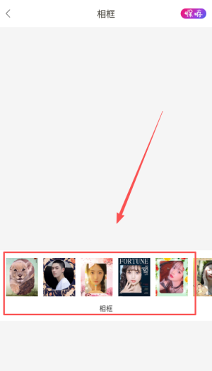 ProMovie专业摄像机