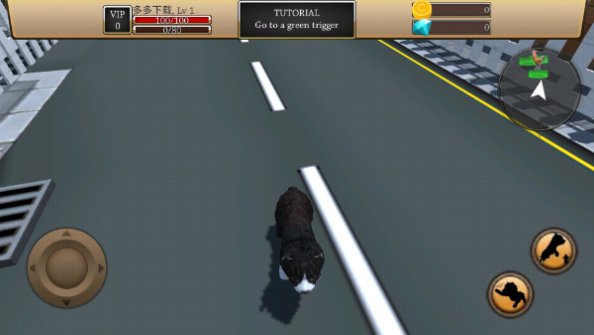 最新的ZOOM动物马牧场