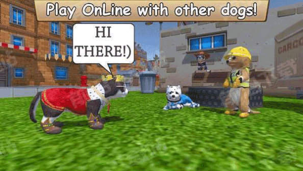 最新的ZOOM动物马牧场