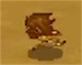 双刃战士官方版