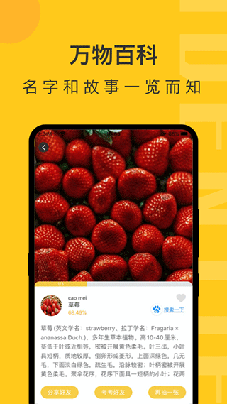 随手拍照识物app