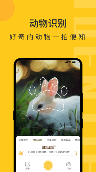 随手拍照识物app
