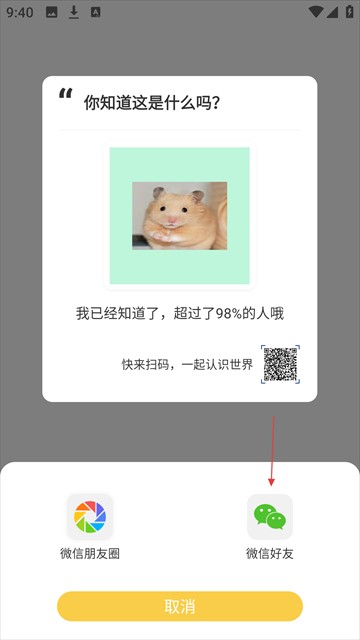 随手拍照识物官方版