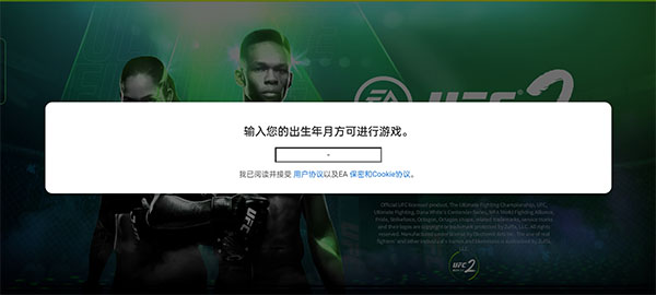 UFC终极格斗冠军2安卓版