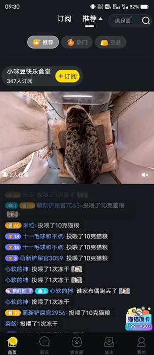 哈啰街猫