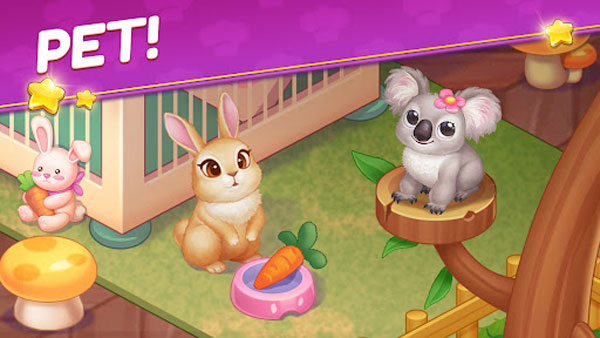 星厨志愿最新版