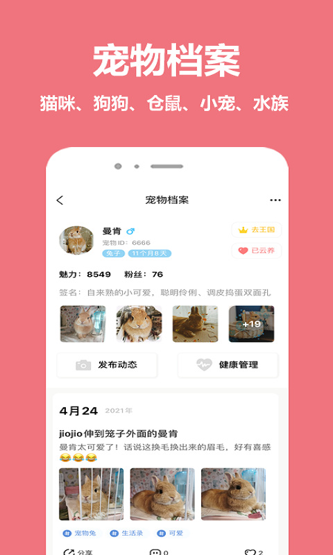 宠物王国APP