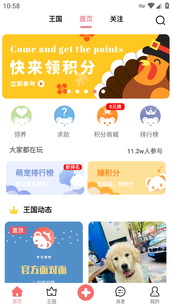 宠物王国APP