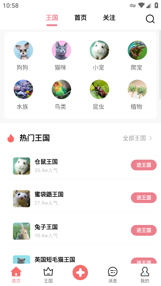 宠物王国APP