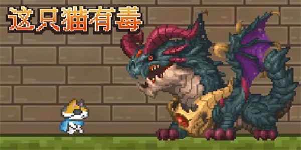 这只猫有毒最新版