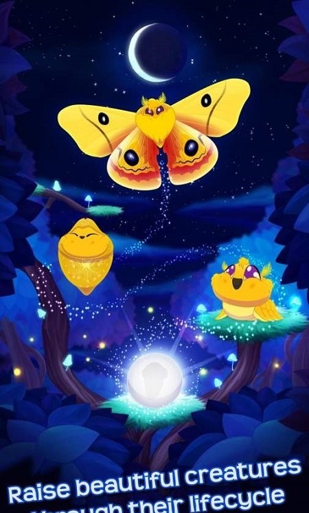 蝴蝶之星夜(starlight)汉化版