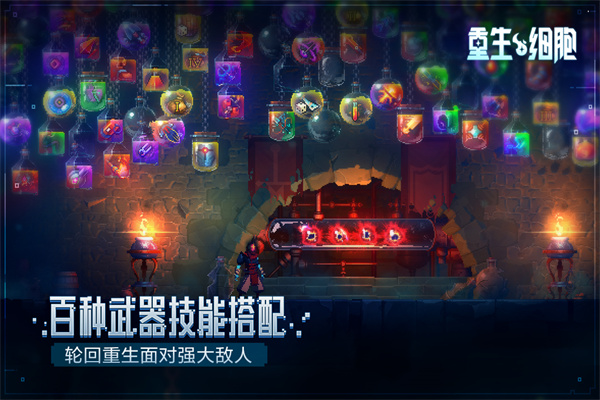 重生细胞内置修改器(Dead Cells) 