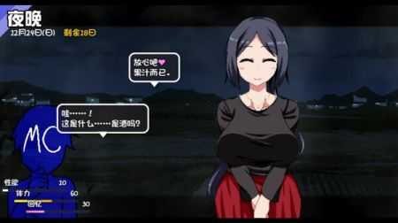 冬日狂想曲汉化全cg解锁版