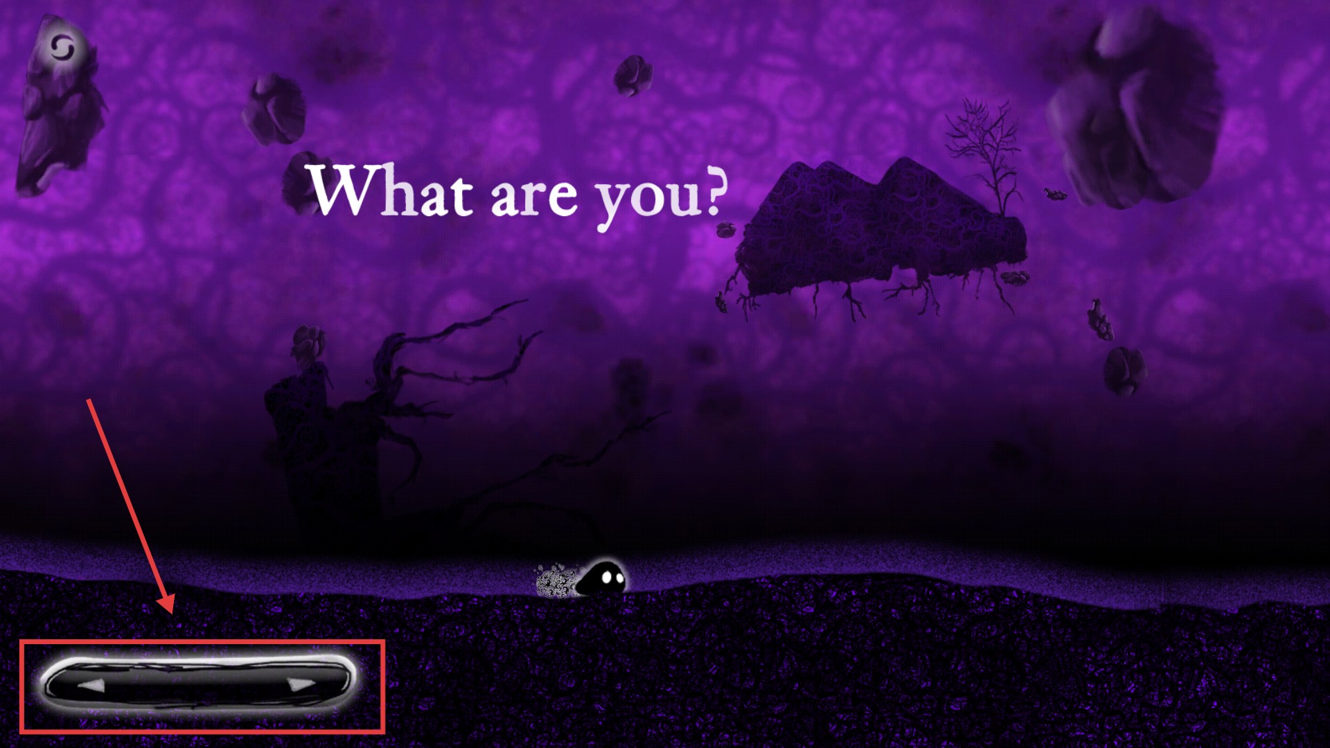 诅咒世界大冒险内置作弊菜单版