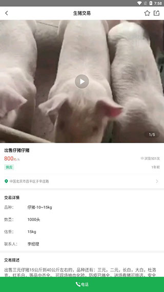 猪邦忙找工作