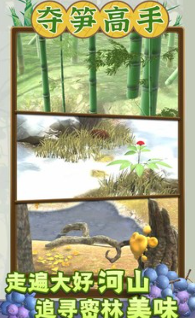 夺笋高手免广告最新版