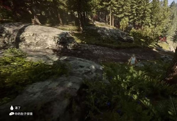 森林之子最新版