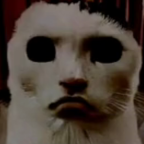 猫猫惊魂汉化版