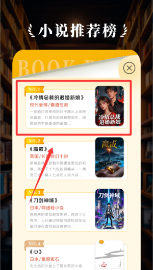 树莓小说阅读器