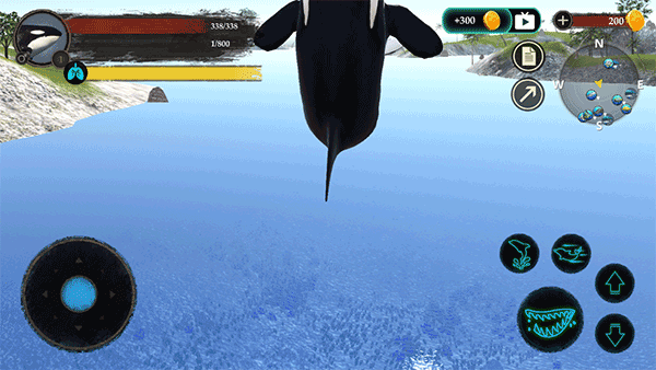虎鲸模拟器(The Killer Whale)中文版