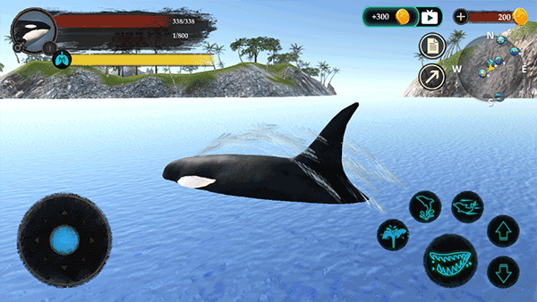 虎鲸模拟器(The Killer Whale)中文版