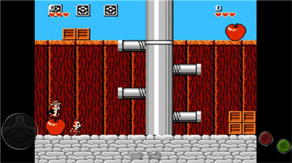 松鼠大战金手指代码