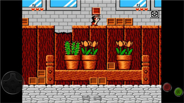 松鼠大战金手指代码