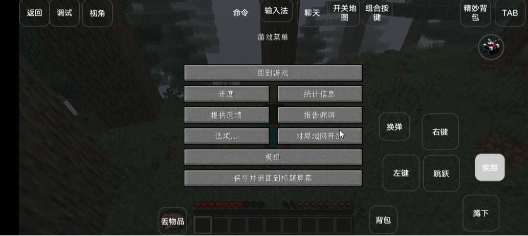 我的世界雾中人生存官方正版