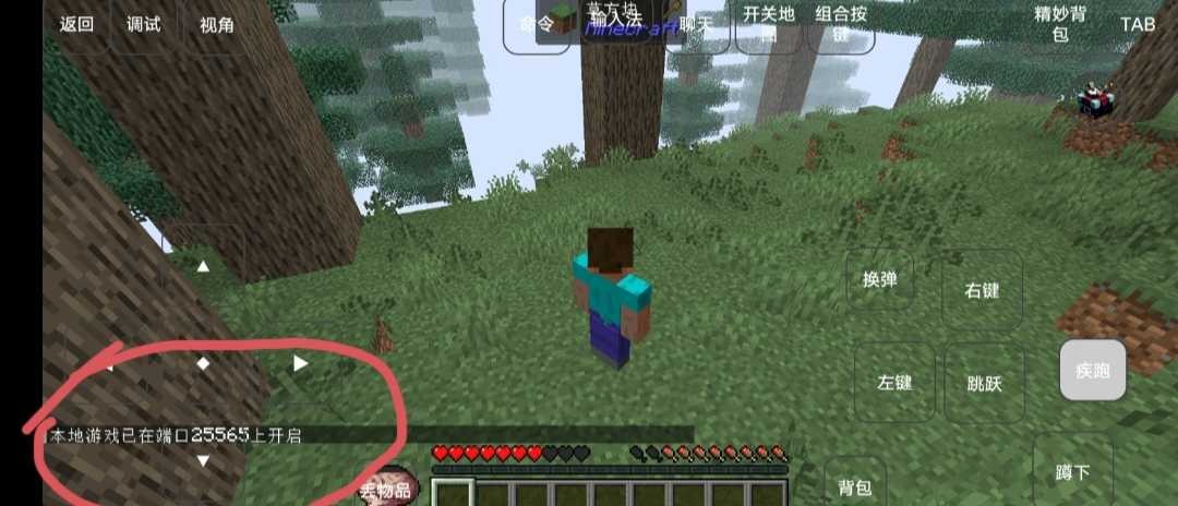 我的世界雾中人生存官方正版