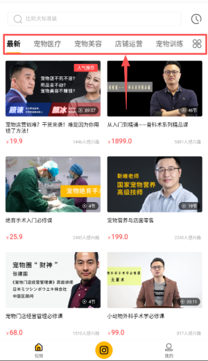 宠才大学APP