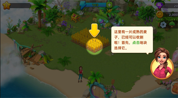 梦幻龙乐园最新版