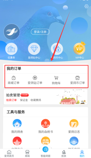 爱鸽者APP
