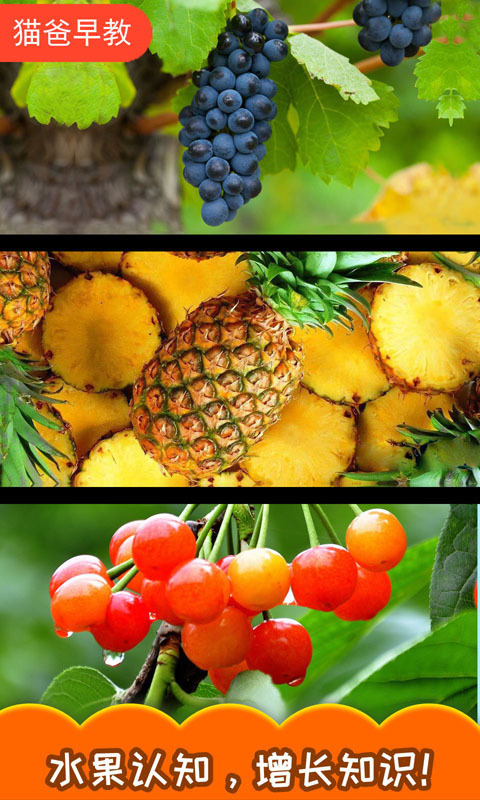 宝宝切水果官方版