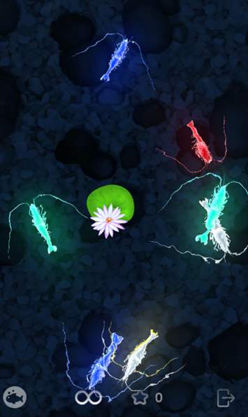 catfishing小猫钓鱼官方版