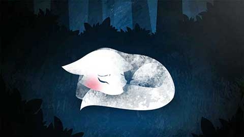 小狐狸历险记最新版