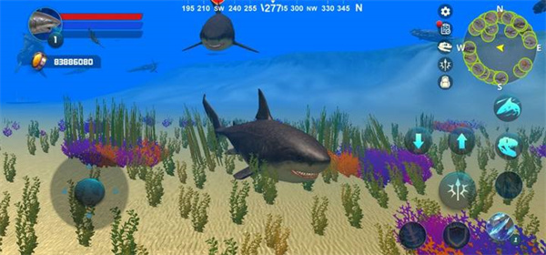 巨齿鲨模拟器(Megalodon Simulator)中文版