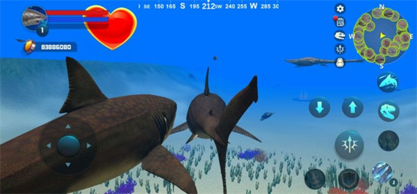 巨齿鲨模拟器(Megalodon Simulator)中文版