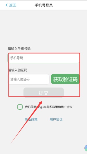 Lingumi幼儿英语启蒙